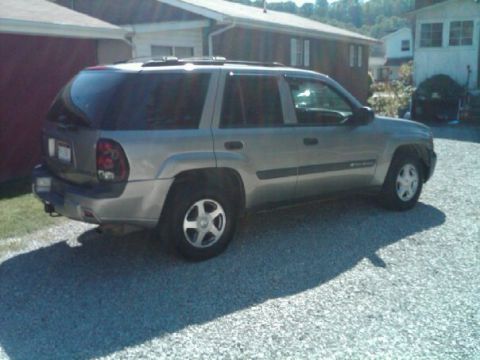 2003 Chevrolet TrailBlazer - This 2003 Chevrolet TrailBlazer is seen from a three-quarter front view, parked on a gravel surface.