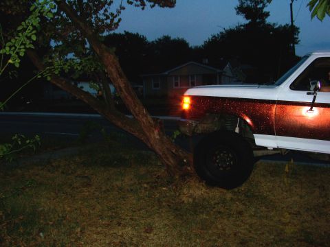 1989 Ford Bronco - A white and red Ford F-Series truck is partially obscured by a tree branch on the side of the road.
