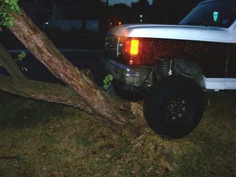 1989 Ford Bronco - A Ford Bronco is parked on grass next to a large fallen tree at dusk.
