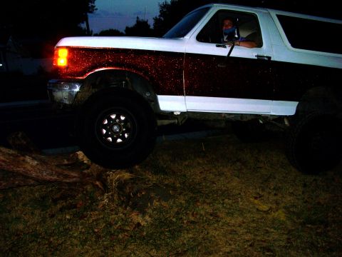 1989 Ford Bronco - A white and brown Ford Bronco is parked on grass next to a fallen log at dusk.