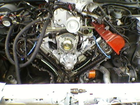 1998 Ford Crown Victoria - Close-up view of an engine bay, showing timing chains and the alternator.