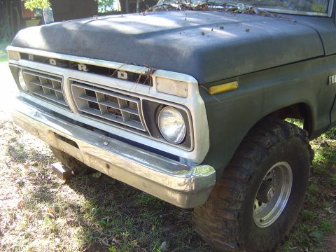 1986 Ford Bronco - Front view of a vintage Ford truck, showing its grille and hood covered in leaves.