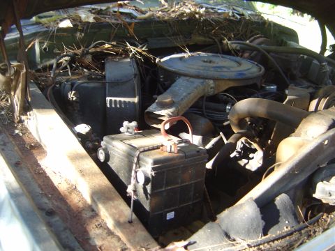 1986 Ford Bronco - Engine bay components are visible, covered in leaves and debris.