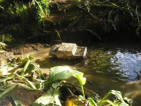 1994 Ford Escort - A toy truck is partially submerged in murky water surrounded by lush green foliage.