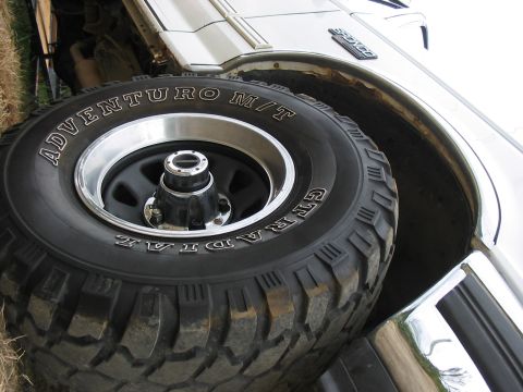 1995 Ford Bronco photo
