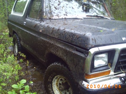 1979 Ford Bronco photo