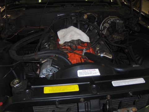 1979 Chevrolet Camaro - The engine bay of a vehicle, an orange V8 engine with a white rag placed on top of the intake manifold.