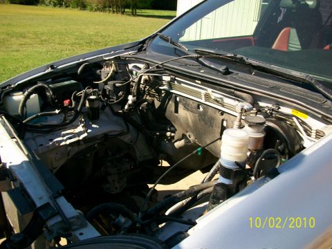 1999 Isuzu Vehicross “Bugzy”