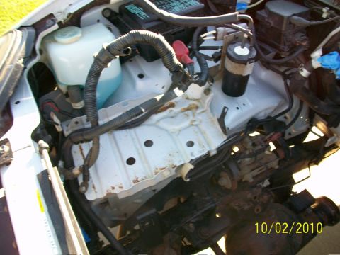 1999 Isuzu Vehicross “Bugzy”