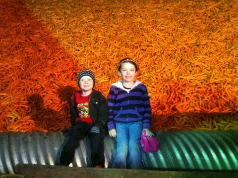 1986 Chevrolet Blazer - Children pose for a photo in front of a large harvest of carrots.
