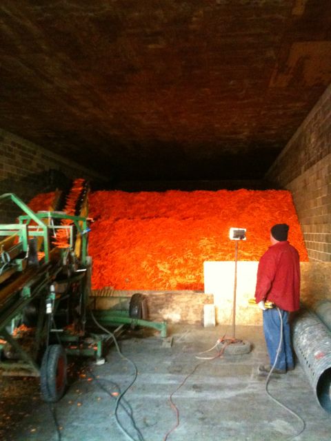 1986 Chevrolet Blazer - A worker operates machinery in a facility processing a large quantity of carrots.