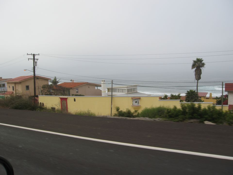 Coastal houses with a yellow wall and palm tree, ocean in background