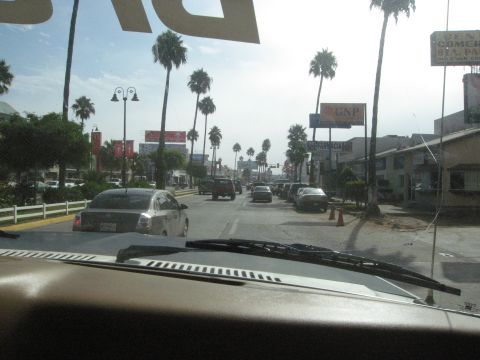 1986 Ford Bronco - A street scene with multiple vehicles and palm trees under a bright sky.