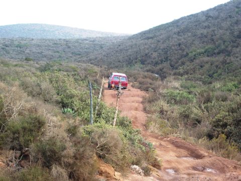 1986 Ford Bronco - A red 1986 Ford Bronco navigates a challenging dirt track in a hilly, arid landscape.