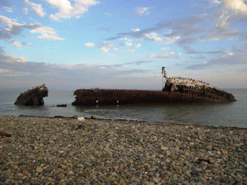 1986 Ford Bronco - A rusted shipwreck rests partially submerged on a pebble beach, with birds perched on its decaying structure.