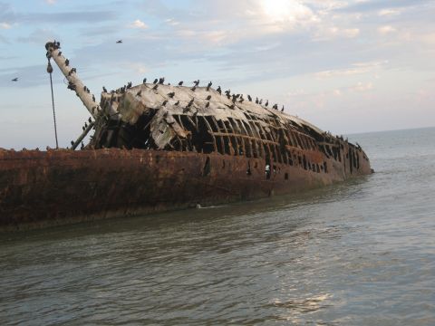 1986 Ford Bronco - A rusted shipwreck sits partially submerged in the ocean, covered in birds.