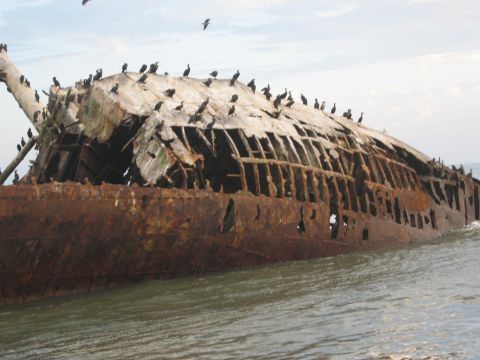 1986 Ford Bronco - A rusted shipwreck, heavily damaged and covered in birds, sits in the water.