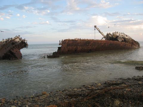1986 Ford Bronco - A large, rusted shipwreck lies partially submerged on a rocky coastline, with numerous birds resting on its debris under a cloudy sky.