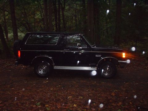 1989 Ford Bronco - A black Ford Bronco is parked on a forest floor, with rain or water droplets visible in the air.