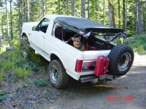1989 Ford Bronco - Mark sez this is how you check the top for scratches