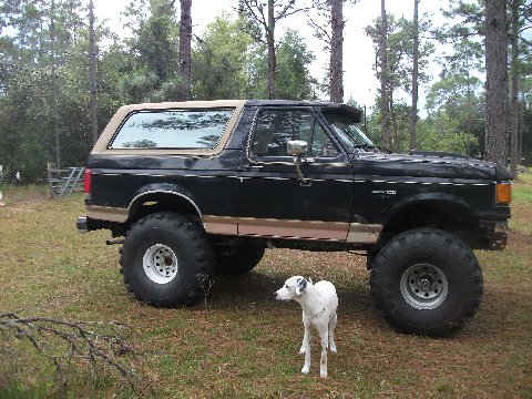 1987 Ford Bronco photo