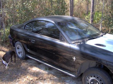 1994 Ford Mustang photo