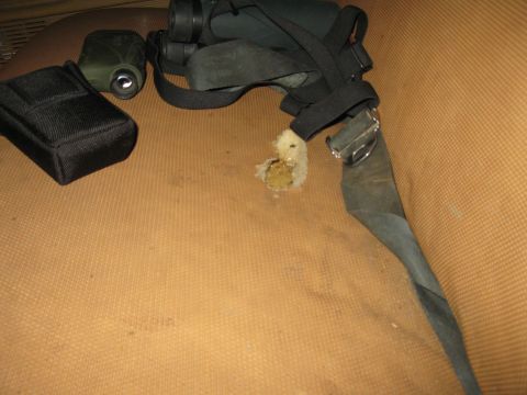 1977 Ford F-250 - Binoculars and a rangefinder are placed on the carpeted interior of a vehicle.