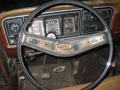 1977 Ford F-250 photo