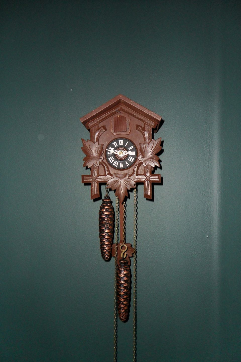 Brown cuckoo clock with pinecone weights hanging on a dark green wall