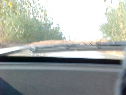 1989 Ford Bronco - Looking through the windshield on a sunny day with trees lining the road.