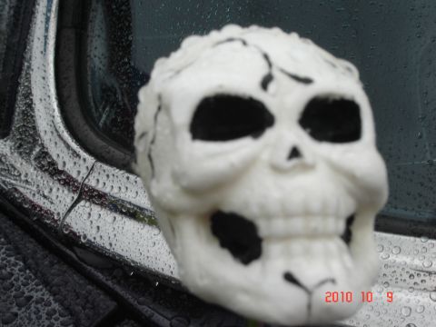 1993 Ford Bronco - A white skull ornament is attached to the wet exterior of a vehicle.