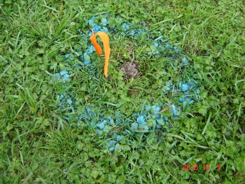 1993 Ford Bronco - Survey marker in grass with orange flag and blue paint.