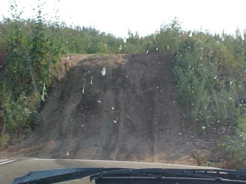 1989 Ford Bronco - View from inside a vehicle looking up a dirt road on a hill with vegetation.