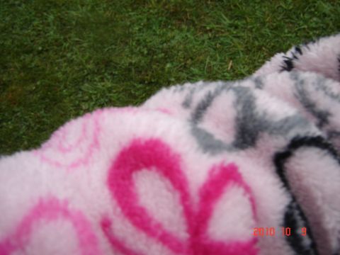 1993 Ford Bronco - A fuzzy blanket with a pink and gray pattern lies on the grass, a Supermotors.net watermark.