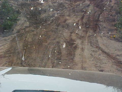 1989 Ford Bronco - Dirt road with debris, viewed through a windshield with water spots.