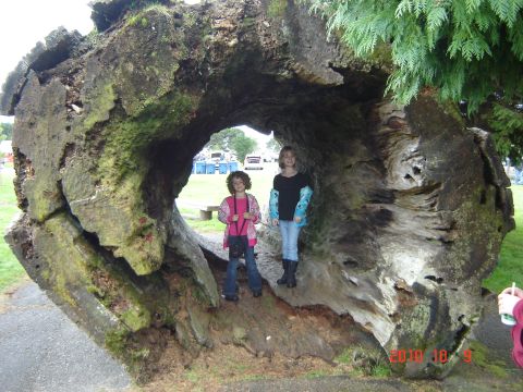 1993 Ford Bronco - Two children explore the inside of a massive, decaying tree trunk in an outdoor setting.