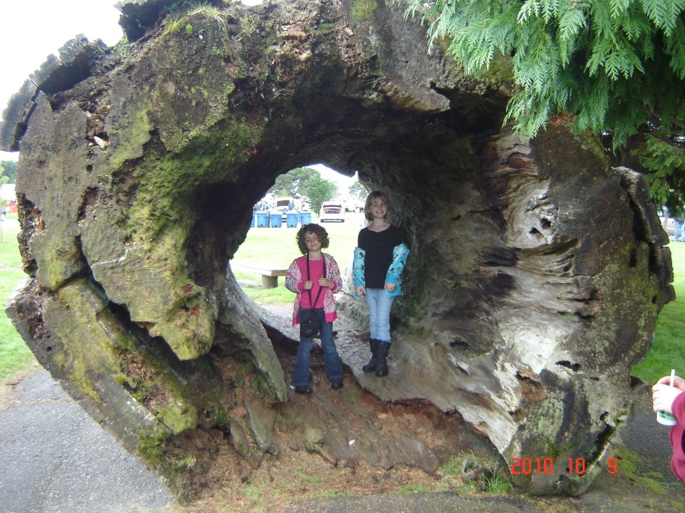 Two girls stand inside a large, hollowed-out tree trunk with green foliage overhead