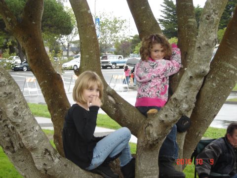 1993 Ford Bronco - Children enjoy climbing trees while cars are parked nearby on a cloudy day.