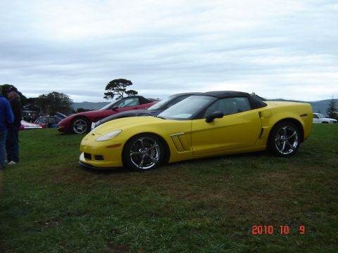 1993 Ford Bronco - A yellow Chevrolet Corvette is parked on a grassy field alongside other vehicles under a cloudy sky.