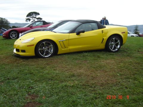 1993 Ford Bronco - A yellow convertible sports car is parked on a grassy field alongside other vehicles.