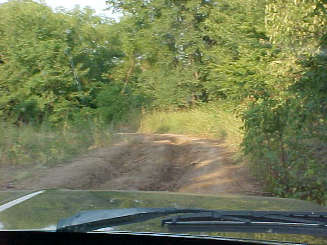 View from inside a vehicle looking at a muddy off-road track through trees