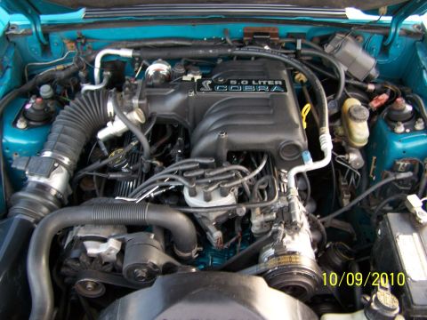 1995 Ford Bronco - The engine bay of a 5.0 Liter Cobra is shown, with various hoses and components visible.