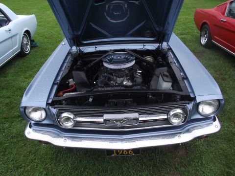 1993 Ford Bronco - Head-on view of a light blue classic Ford Mustang with the hood raised, showing the V8 engine bay with a chrome-topped air cleaner, black v…