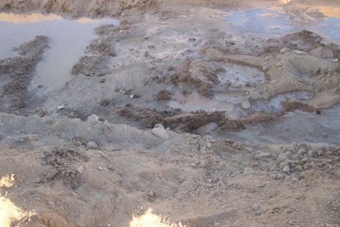 1995 Ford Bronco - Tire tracks are visible in the mud and water, indicating off-road activity.