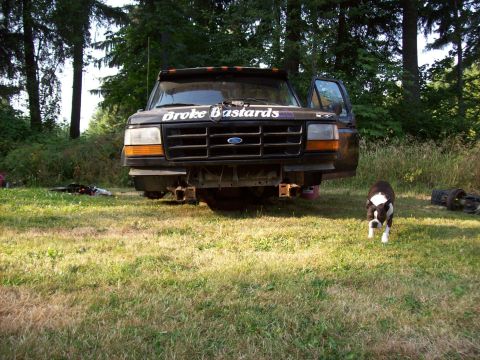 1995 Ford Bronco - This black Ford truck, possibly from the mid-1990s, is parked outdoors with its driver's door open and a dog in the foreground.