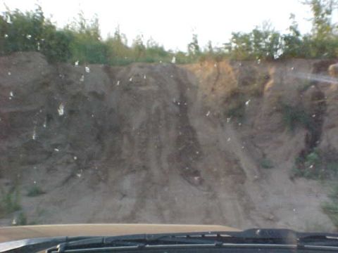 1989 Ford Bronco - A dirt hill with tire tracks and vegetation is visible under a bright sky.