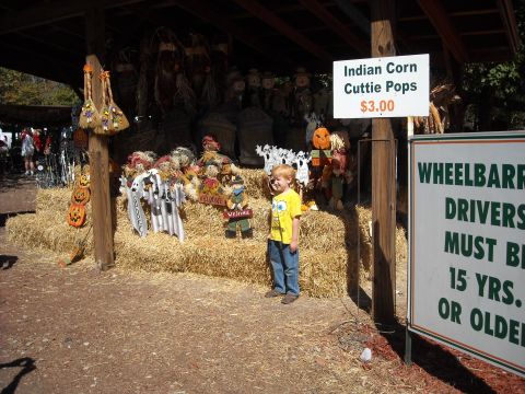 1979 Ford F-150 - A roadside stand displays Halloween decorations and signs, with a young boy standing nearby.
