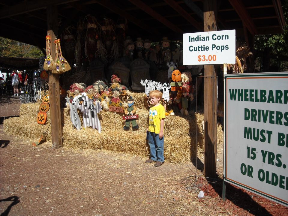 boy stands in front of a hay bale display with Halloween decorations and signs