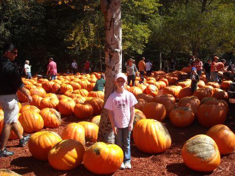 1979 Ford F-150 - A child poses for a photo amidst a large display of pumpkins during the fall season.
