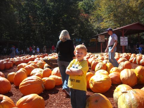 1979 Ford F-150 - A boy poses in a pumpkin patch with many large pumpkins and other people around.